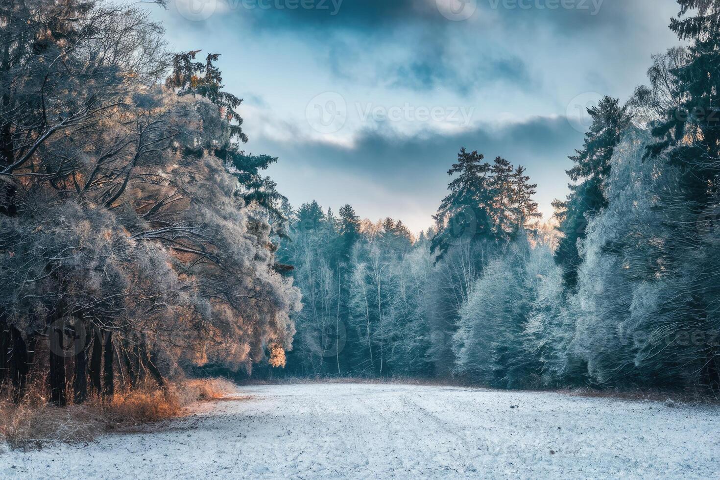 Snow covered forest clearing at sunset in winter photo