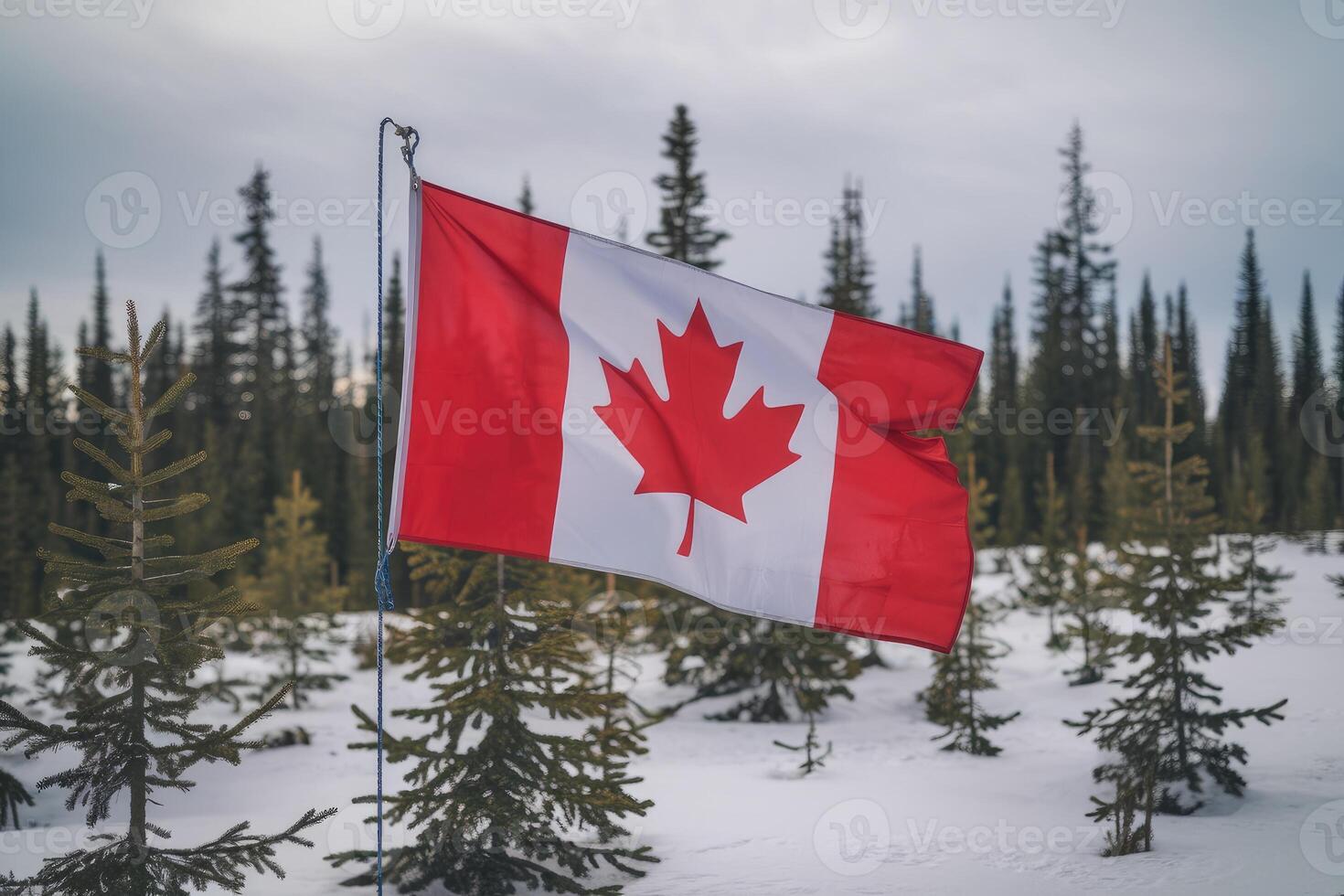 Canadian flag waving in snowy forest of pine trees photo