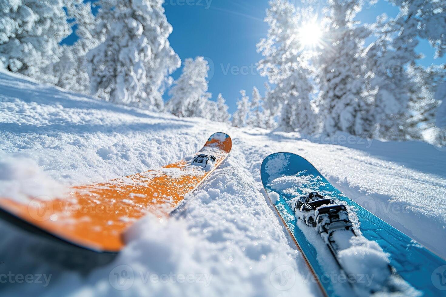 Skis resting on fresh powder snow on sunny day in mountain forest photo