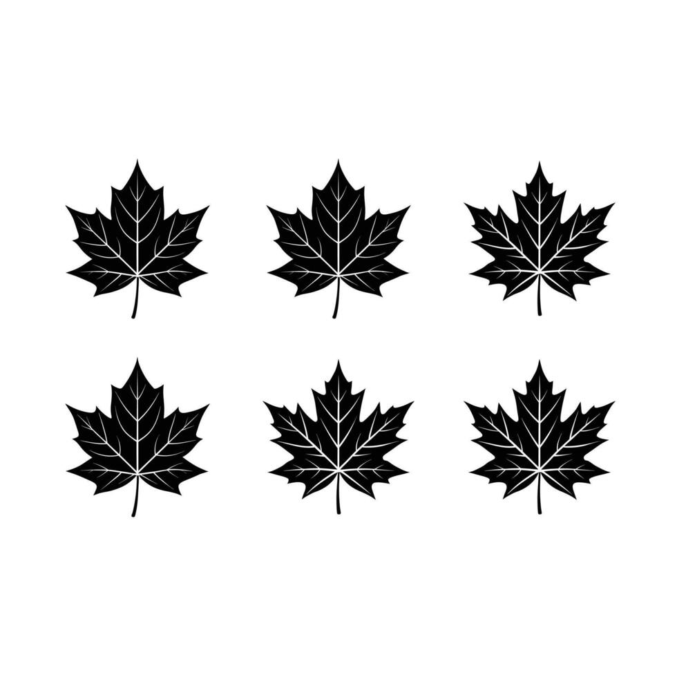 Editable maple leaf file for stunning designs. Perfect for logos, decor, and branding. vector