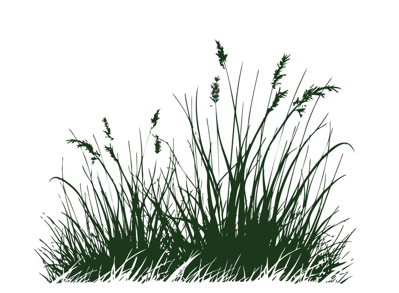Hand drawn grass field. vector