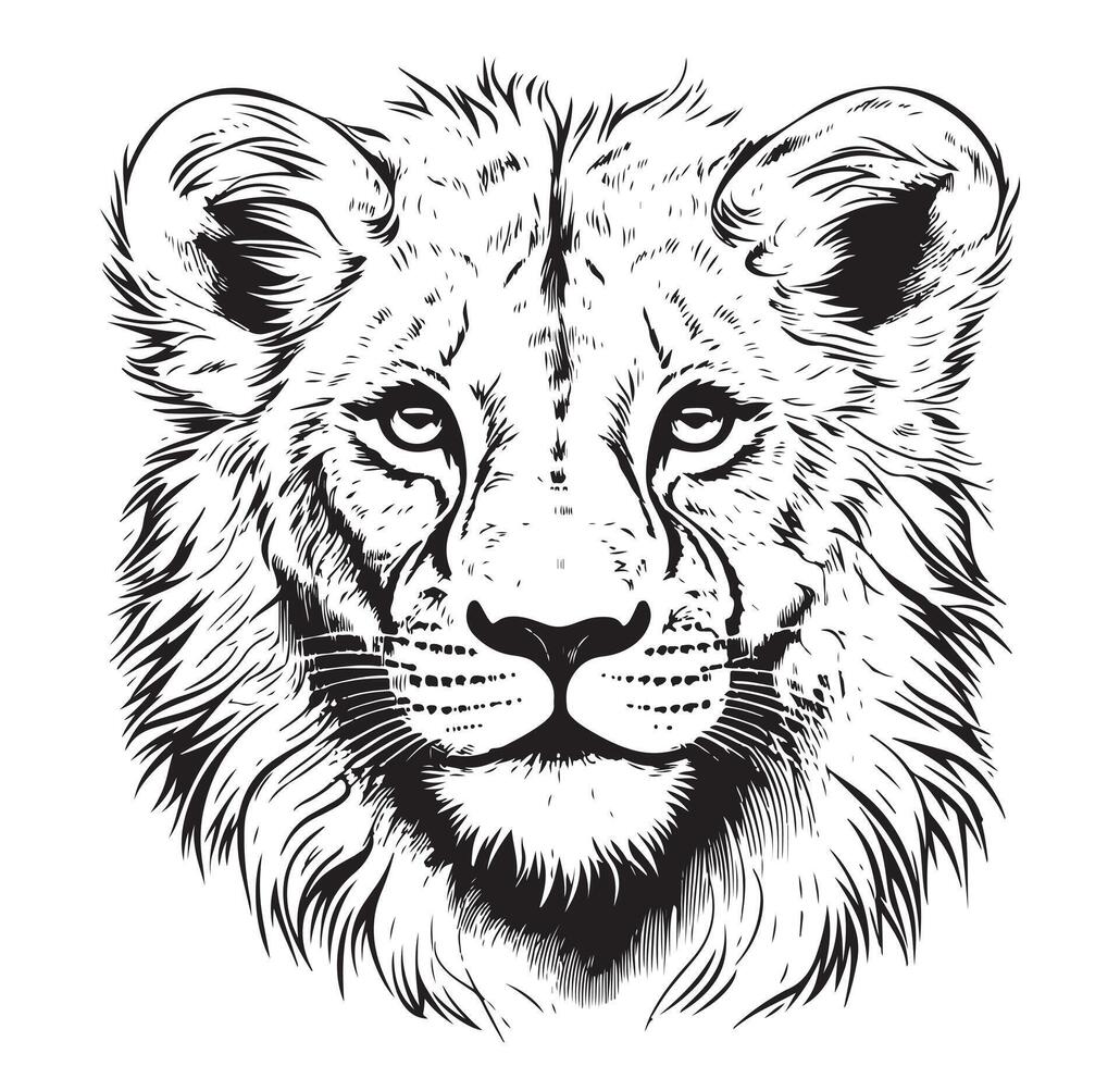 illustration of lion head vector