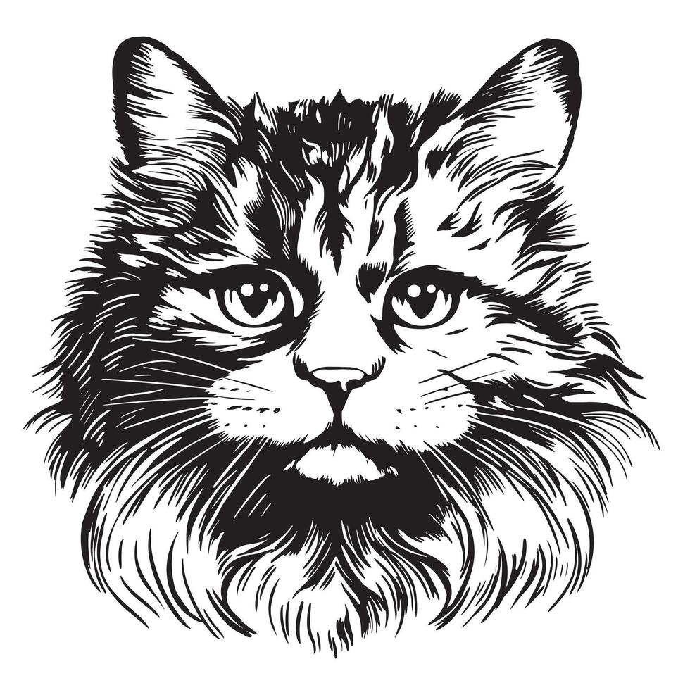 A cat's head is drawn in black and white vector