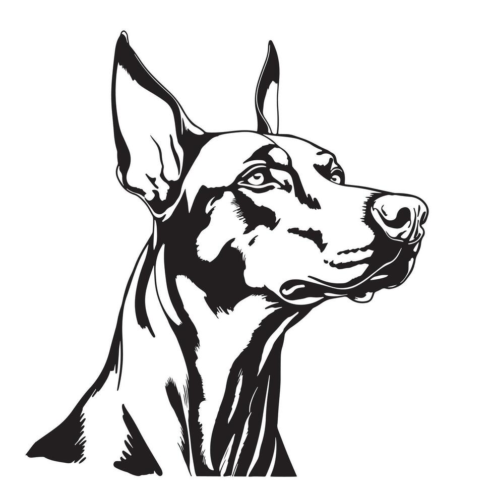 The doberman is a dog breed that is known for its intelligence vector