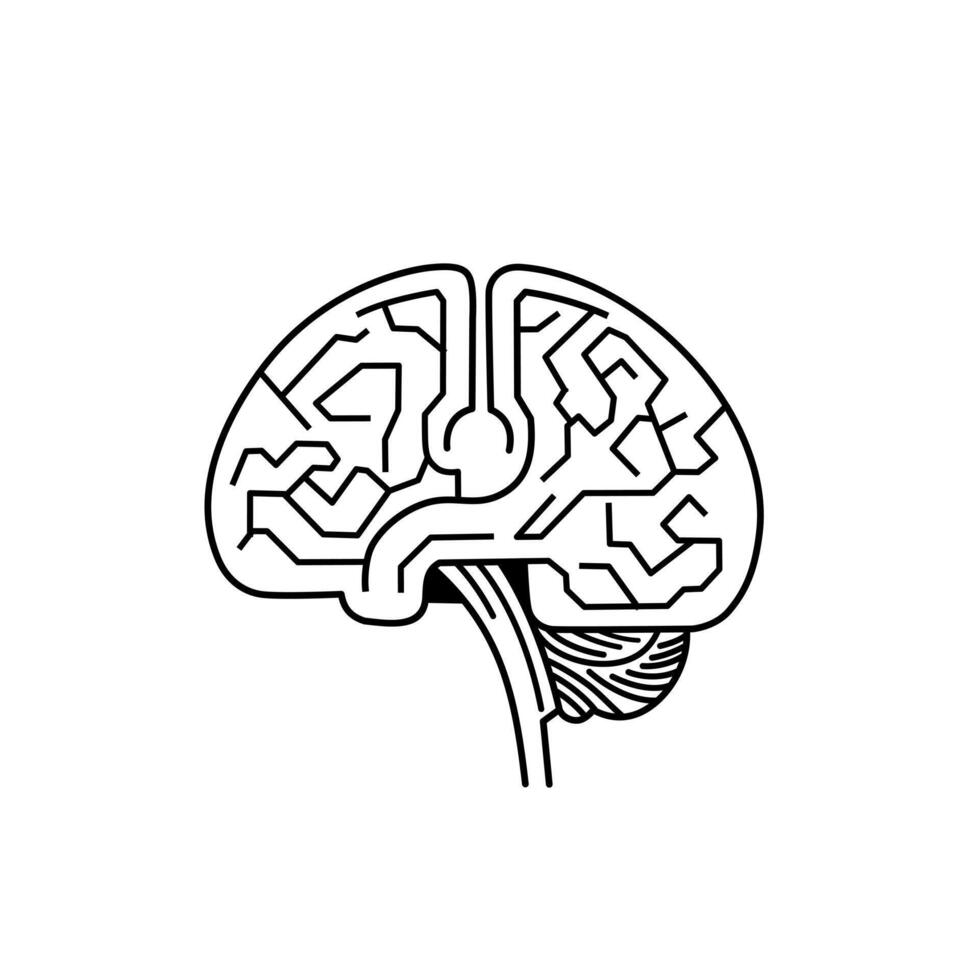 Stylized Brain Illustration vector
