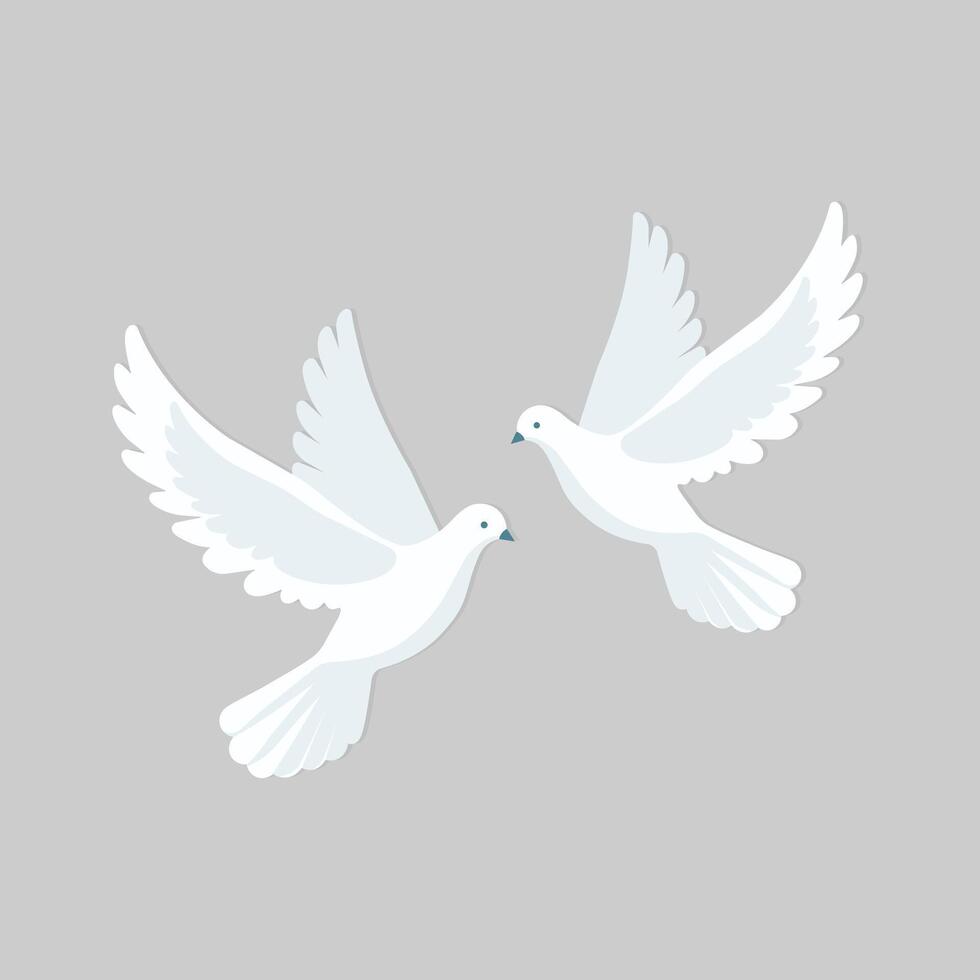 two white doves isolated flat illustration vector