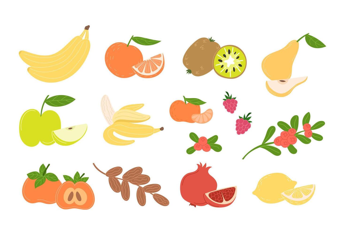 Set of winter fruits including persimmon, orange, pomegranate, mandarin, pear, dates, cranberry, banana, kiwi, lemon, apple, raspberry vector