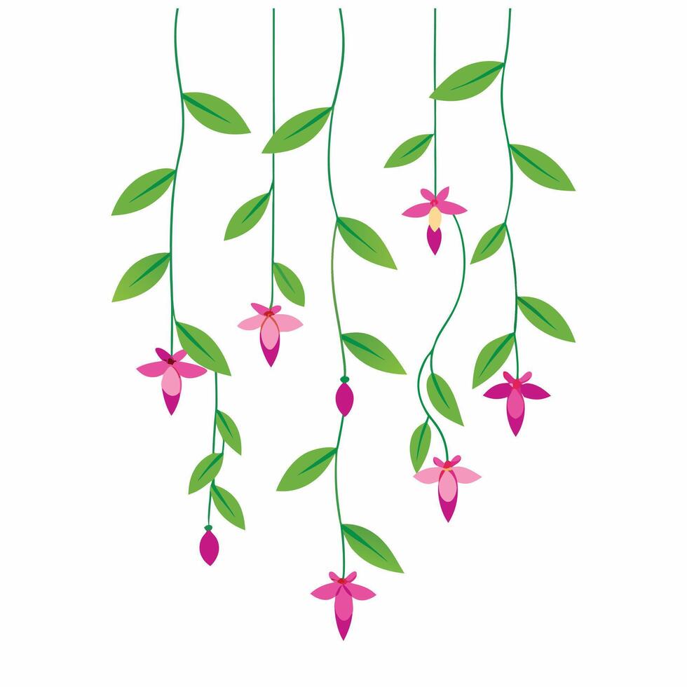 Hanging vines with pink flowers and green leaf illustration. vector