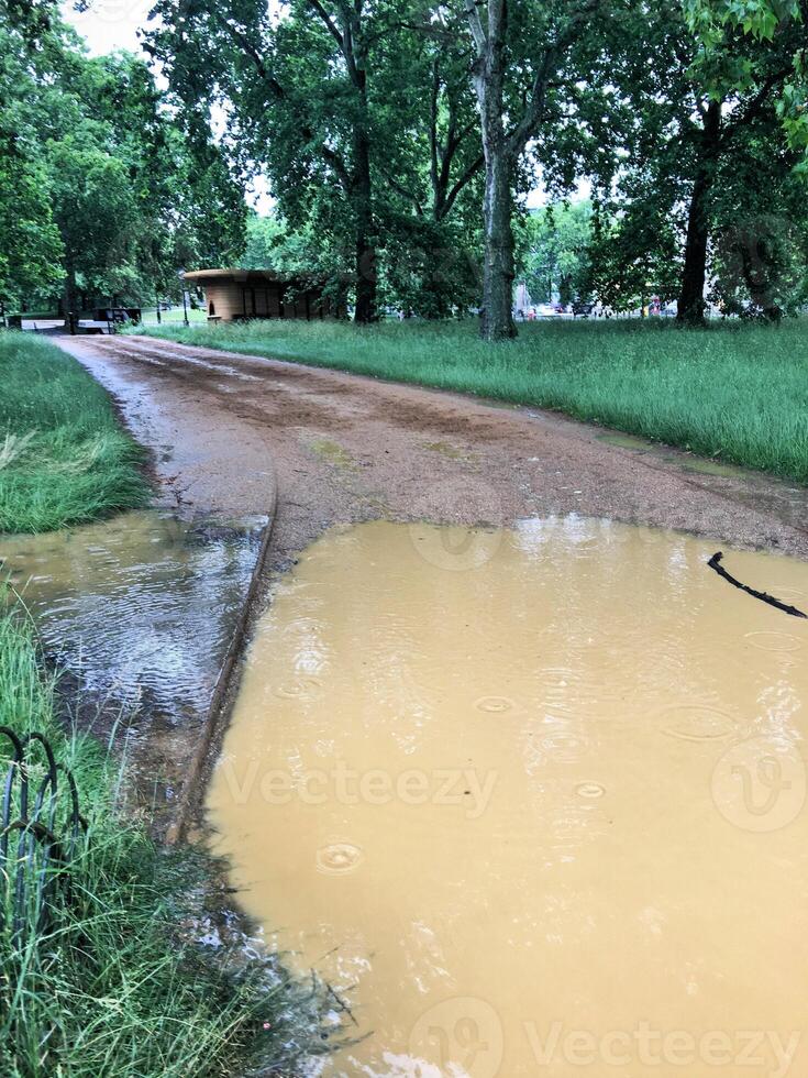 A muddy road with a puddle in the middle photo