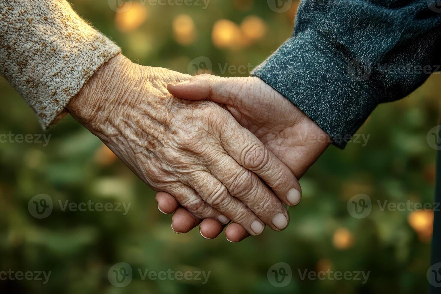 Close-up of elderly hands holding each other against the backdrop of a spring park photo