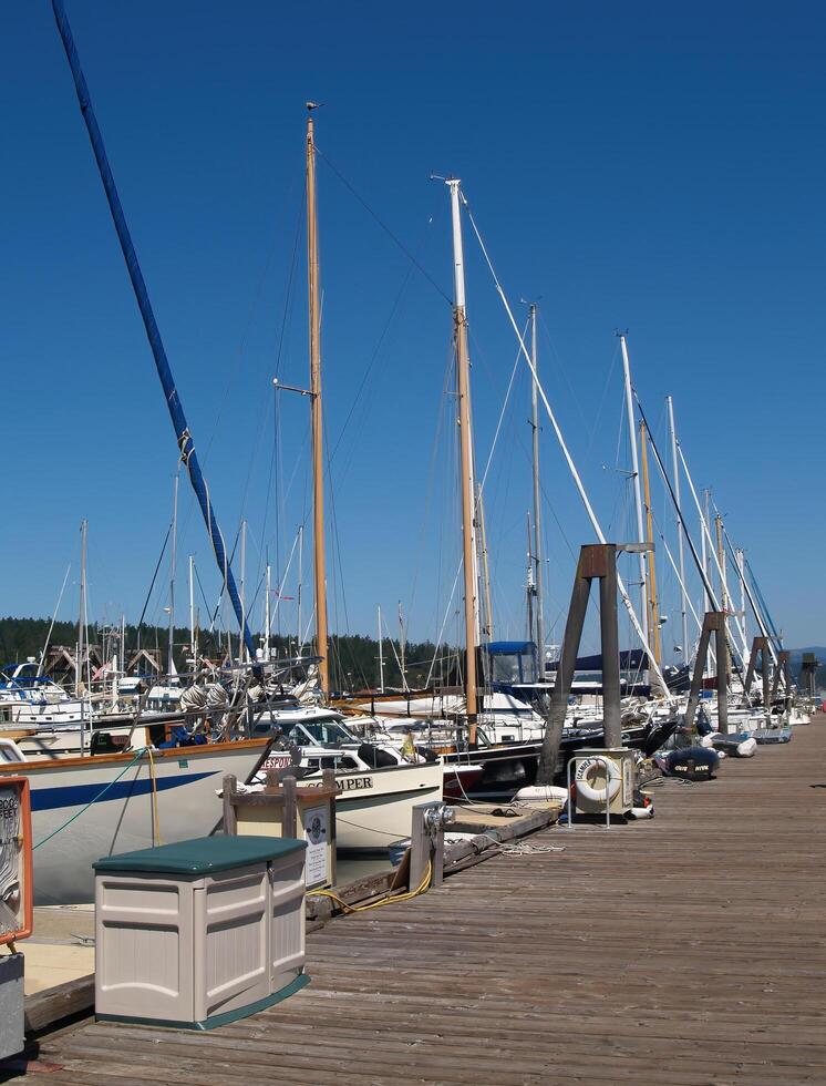 Friday Harbor, WA, 2006 - Boats In Berths At Dock With Blue Sky And Hills photo