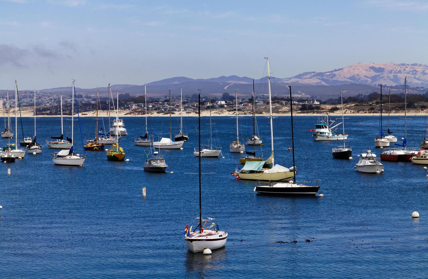 Monterey, CA, 2012 - Boats Moored To Buoys On Part Of Bay With Hills Blue Sky photo