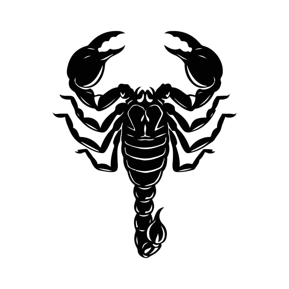 A scorpion is shown in black and white vector