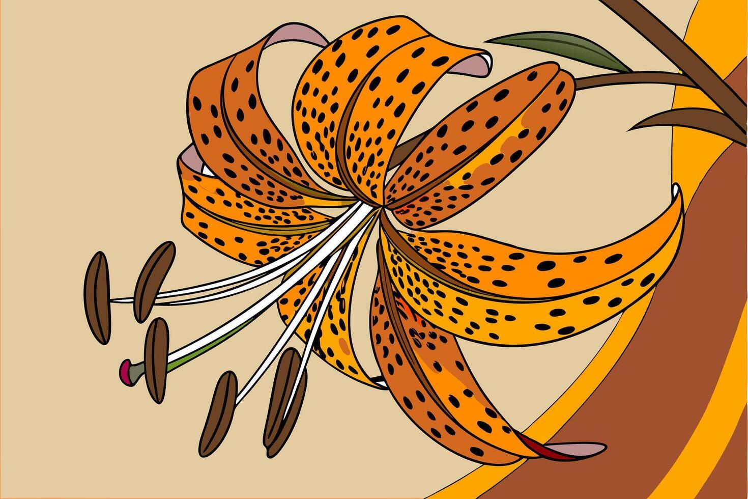 Professional Tiger Lily Illustration Orange, Detailed. vector