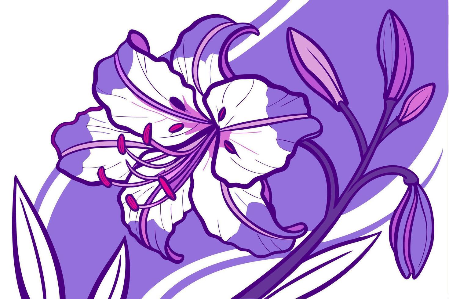 Professional Purple Lily Flower Illustration Graphic High Resolution Floral Design. vector