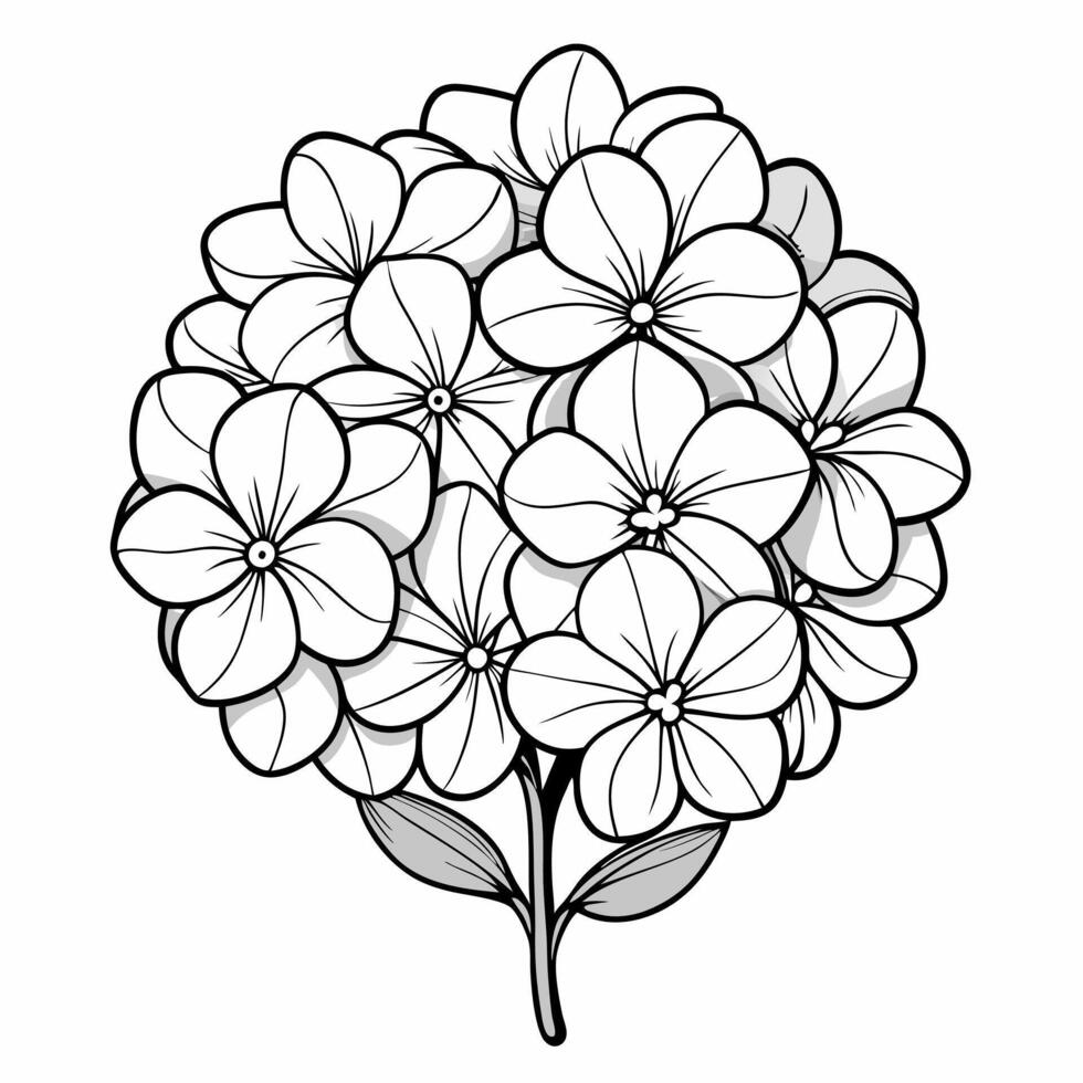 Black and White Hydrangea Flower Line Art Illustration. vector