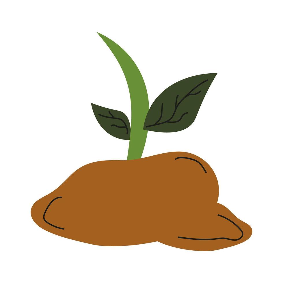 Growth of a potato plant showcasing vibrant green shoots emerging from brown soil vector