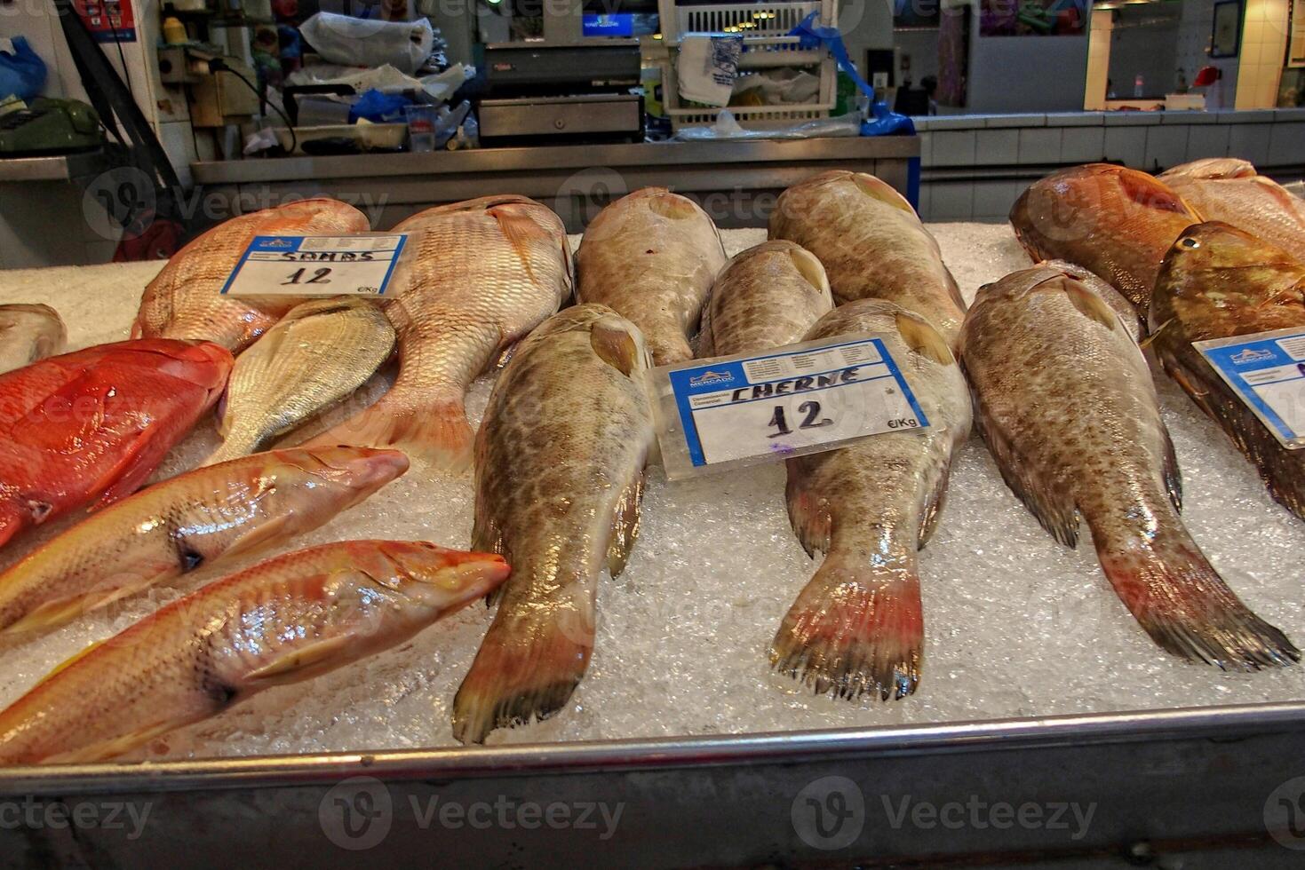 A display of various fresh fish is laid out on a bed of ice at a market, with price tags indicating their cost photo
