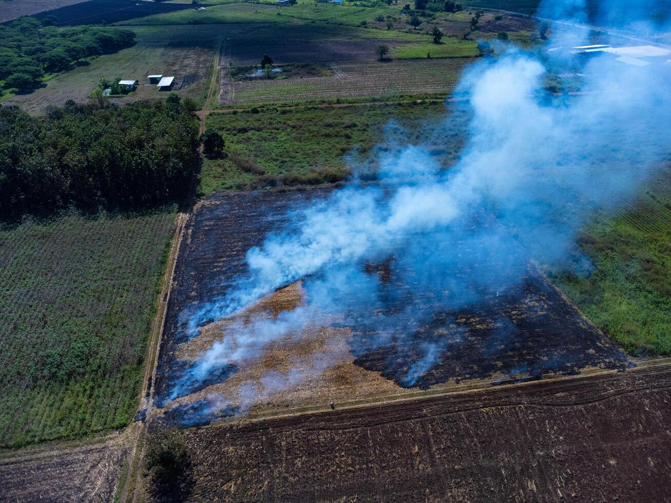 Aerial view of farmers burning corn residue after harvest. Corn field fire after harvest. photo