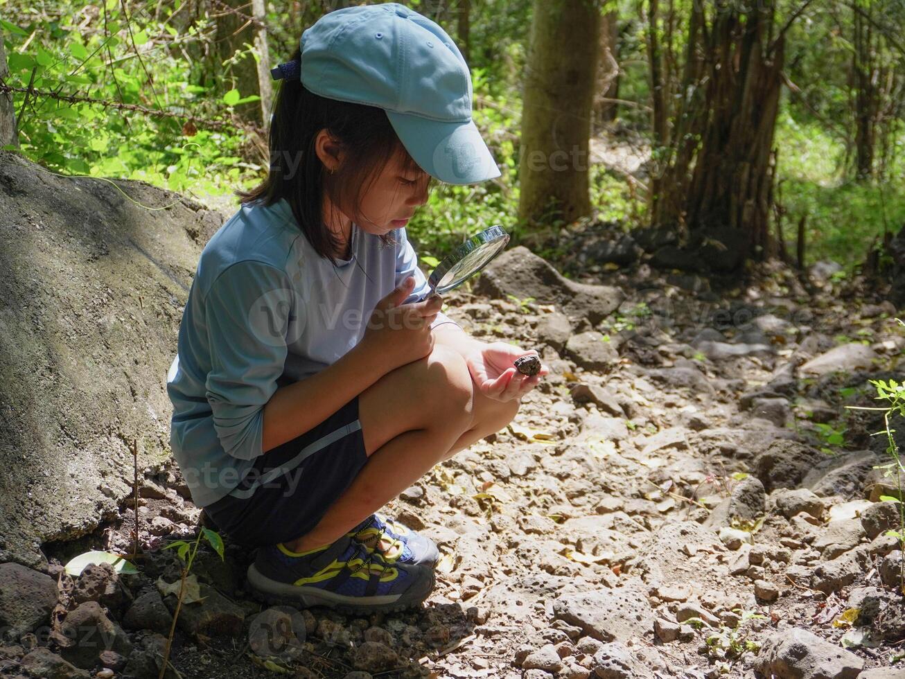 A girl examines rocks through a magnifying glass while exploring the nature of a forest on a sunny day. Outdoor ecology school lesson. photo