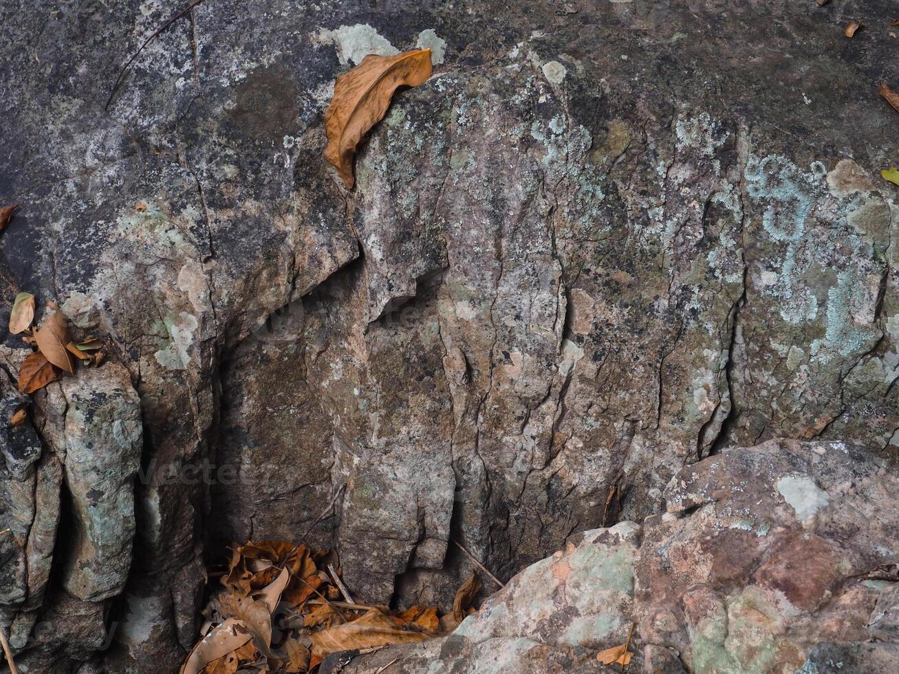Brown stone texture in the forest for environmental care background. photo