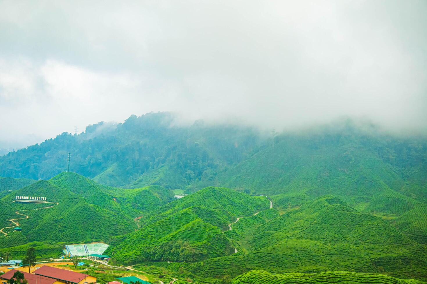 An aerial photograph of a tea plantation in the Cameron Highlands of Malaysia, encircled by mountains and forests and featuring a lively rural ambiance. photo
