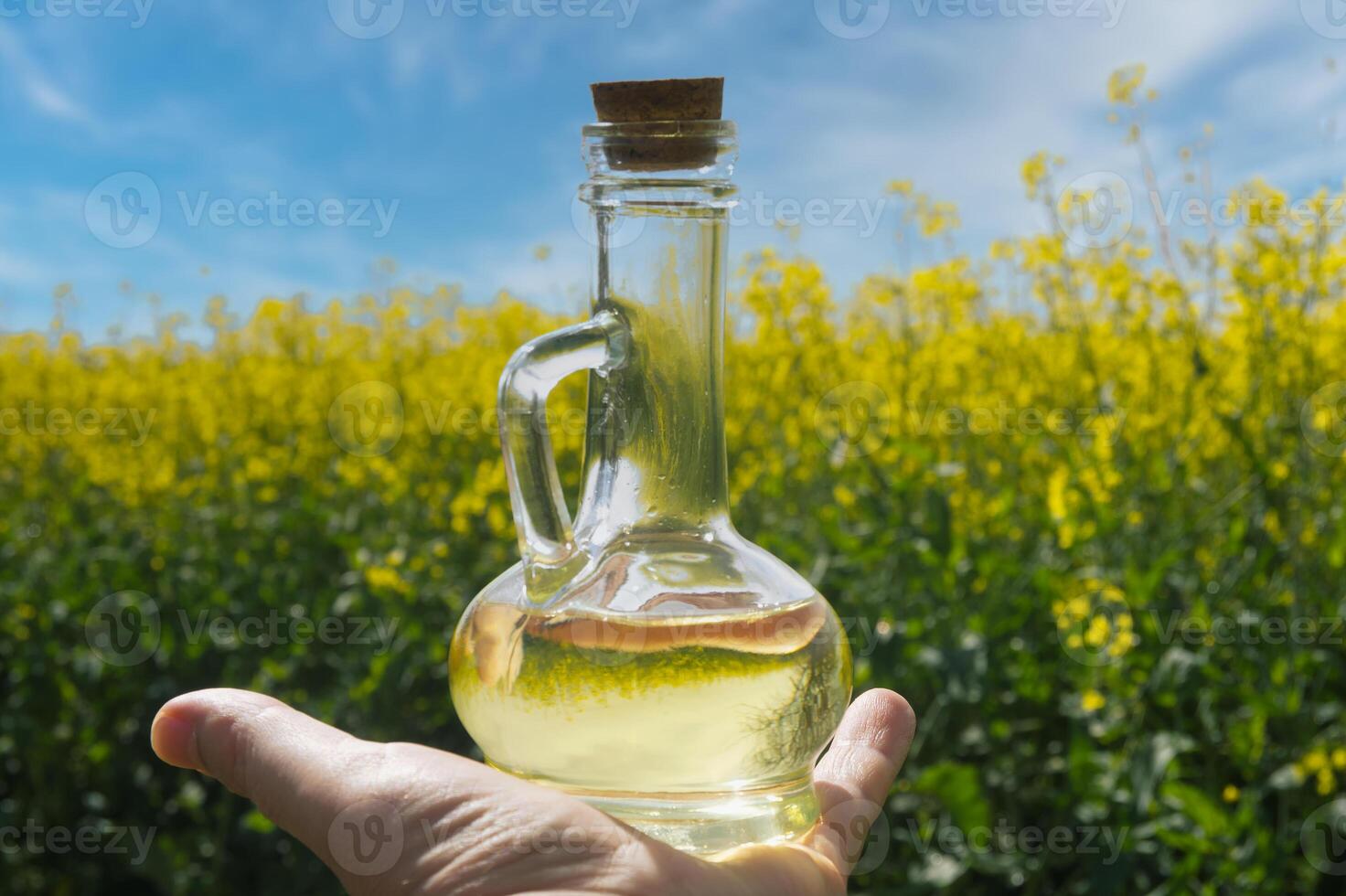Hand holding a transparent glass bottle brimming with golden rapeseed oil photo