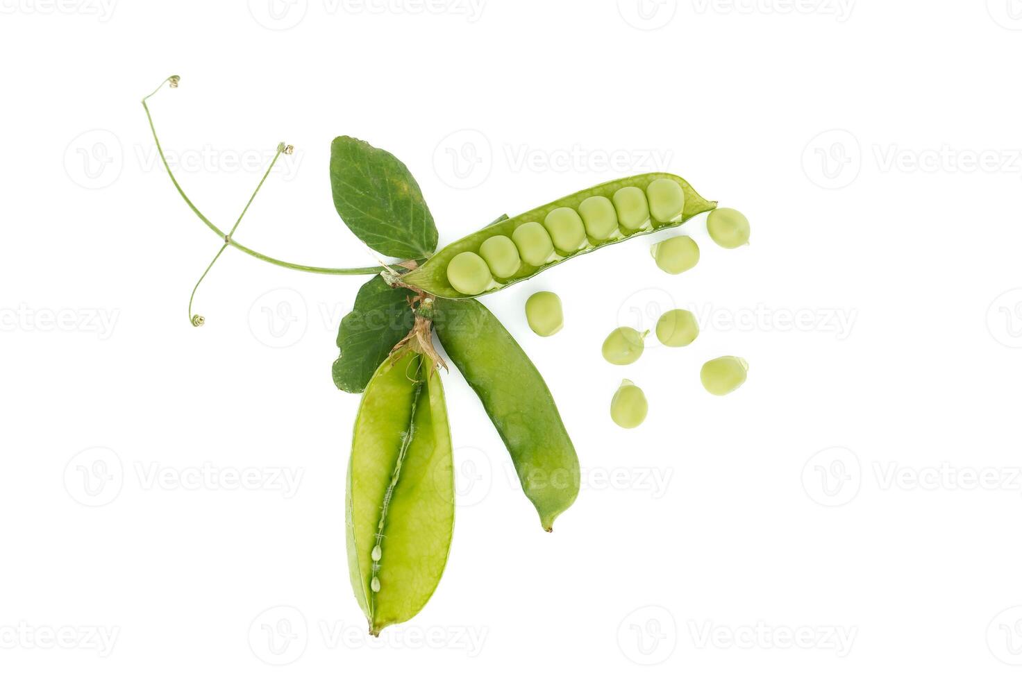 Group of green pea pods and peas isolated on white photo