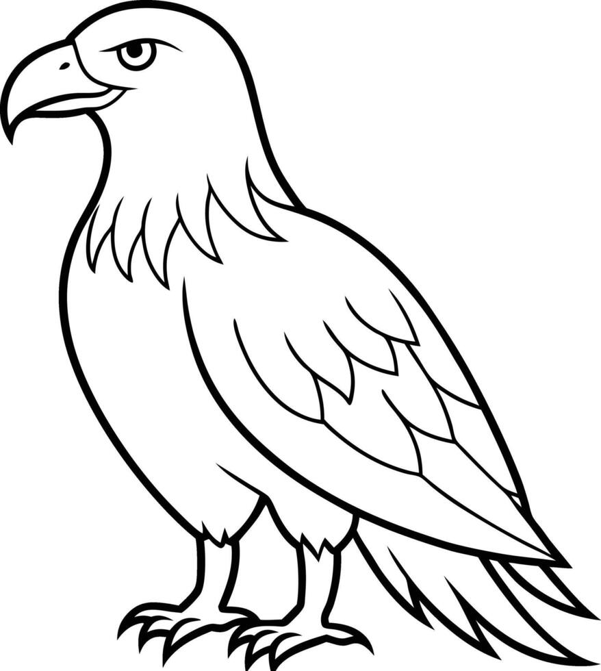 An Eagle outline and line art illustration design. Flying Birds like Silhouette. American eagle wild bird of prey soaring. Falcon or hawk carnivore avian animal. vector