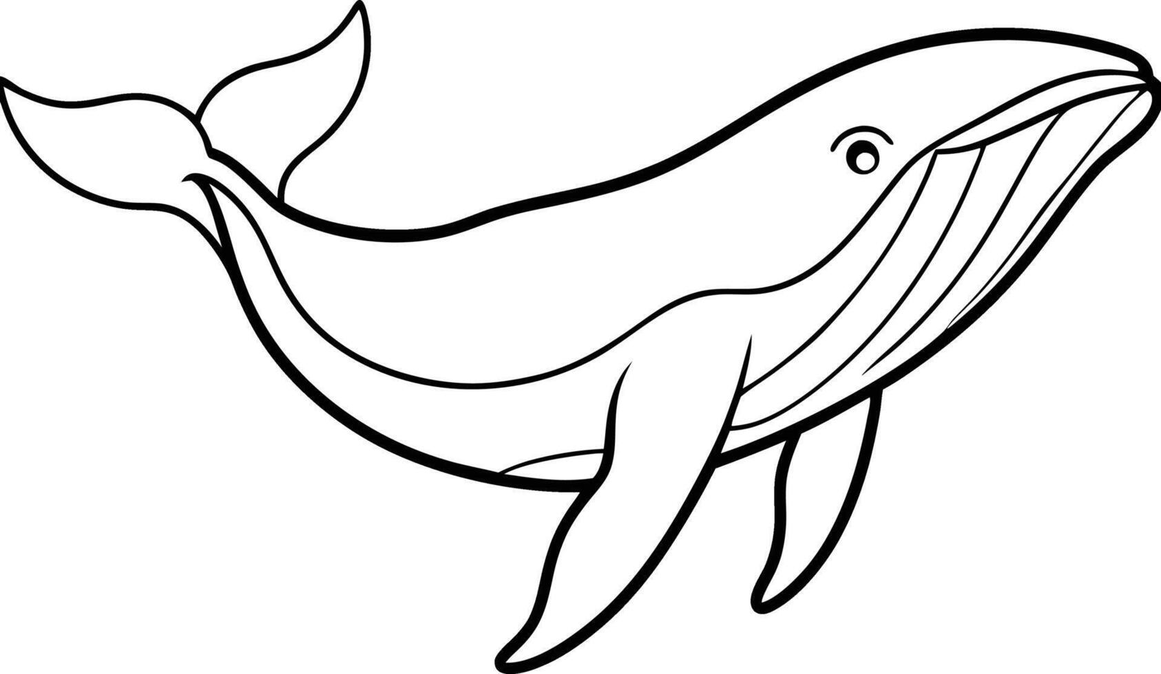 Humpback Whale line art . humpback whale outline illustration design. Whale linear sketch drawing isolated on white background. vector