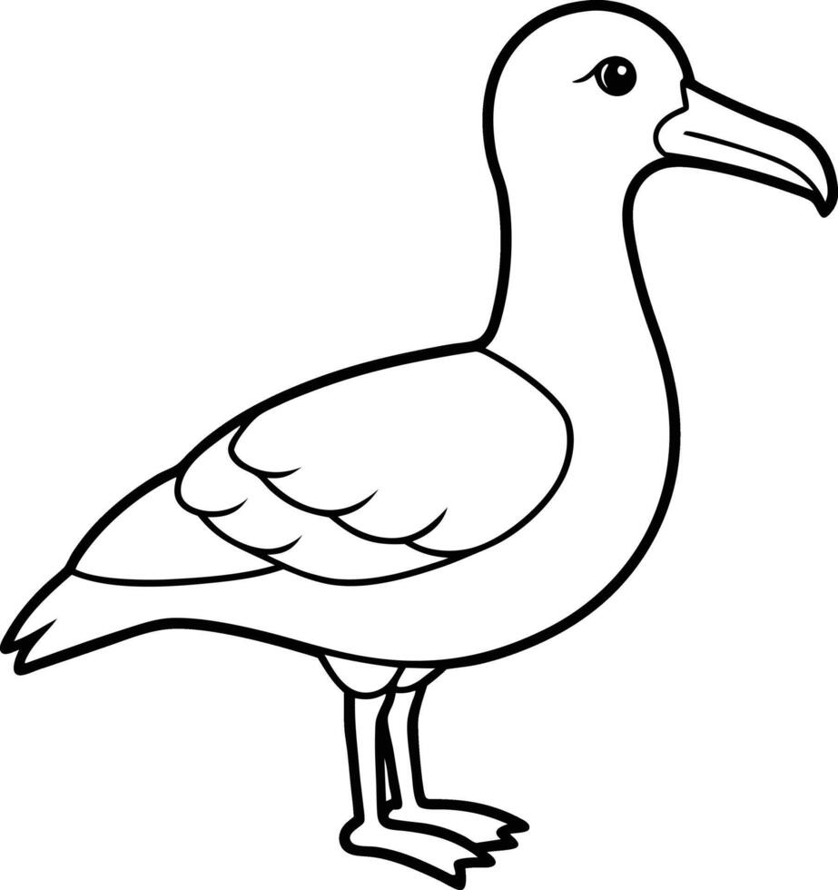 Albatross Bird Outline Illustration - Cartoon, Line Art Design. Albatross line drawing and line art design. Bird gull icon. vector