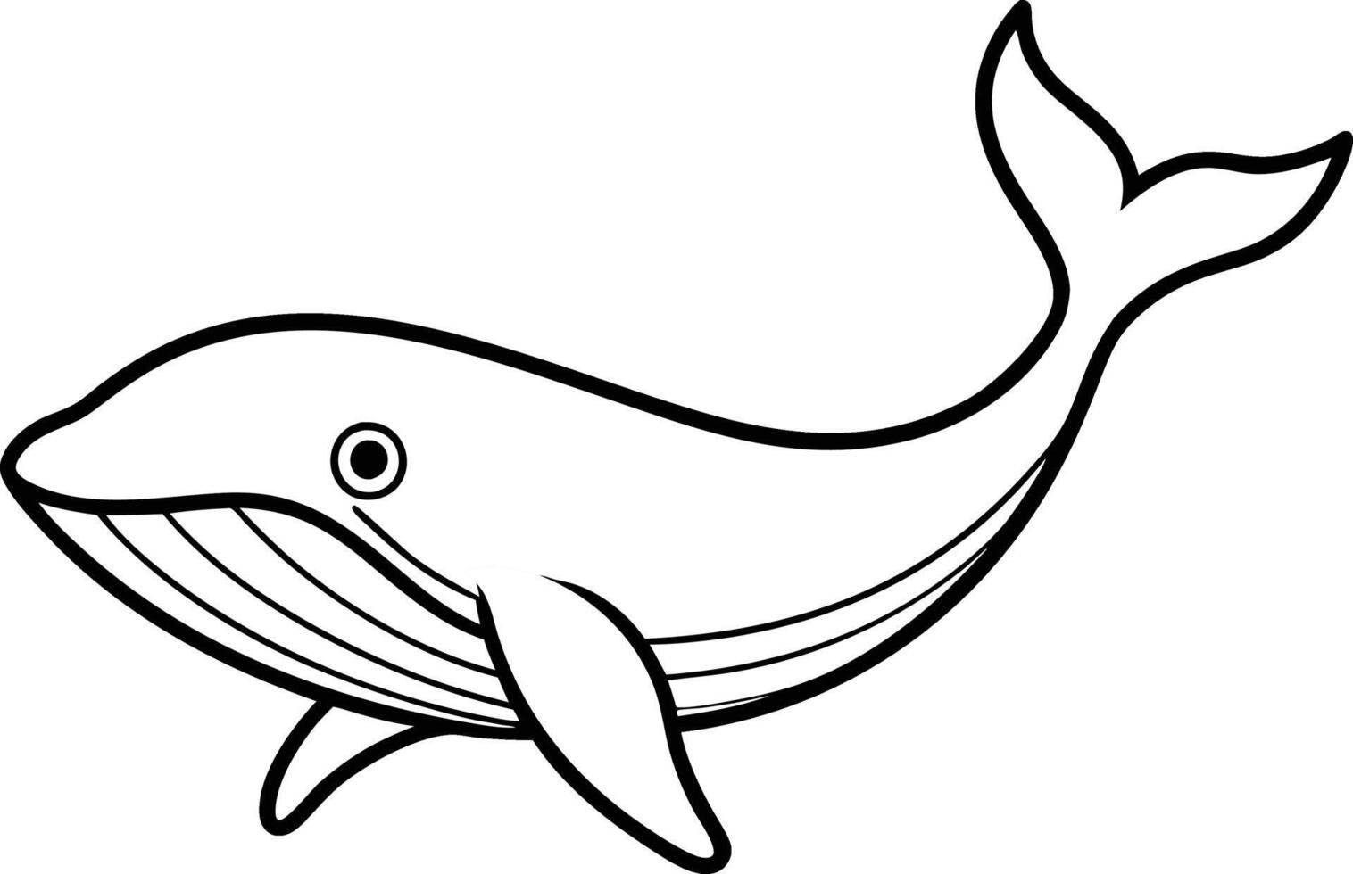 Humpback Whale line art . humpback whale outline illustration design. Whale linear sketch drawing isolated on white background. vector