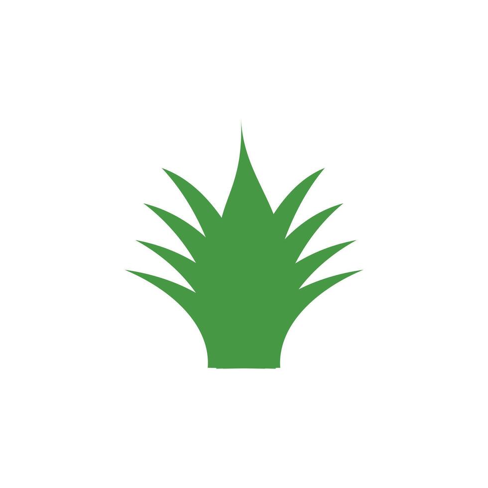 Aloe vera plant icon. Flat style. Leaf icon in flat color style. Design element illustration of a leaf. Illustration of nature and back to nature. care for the environment vector