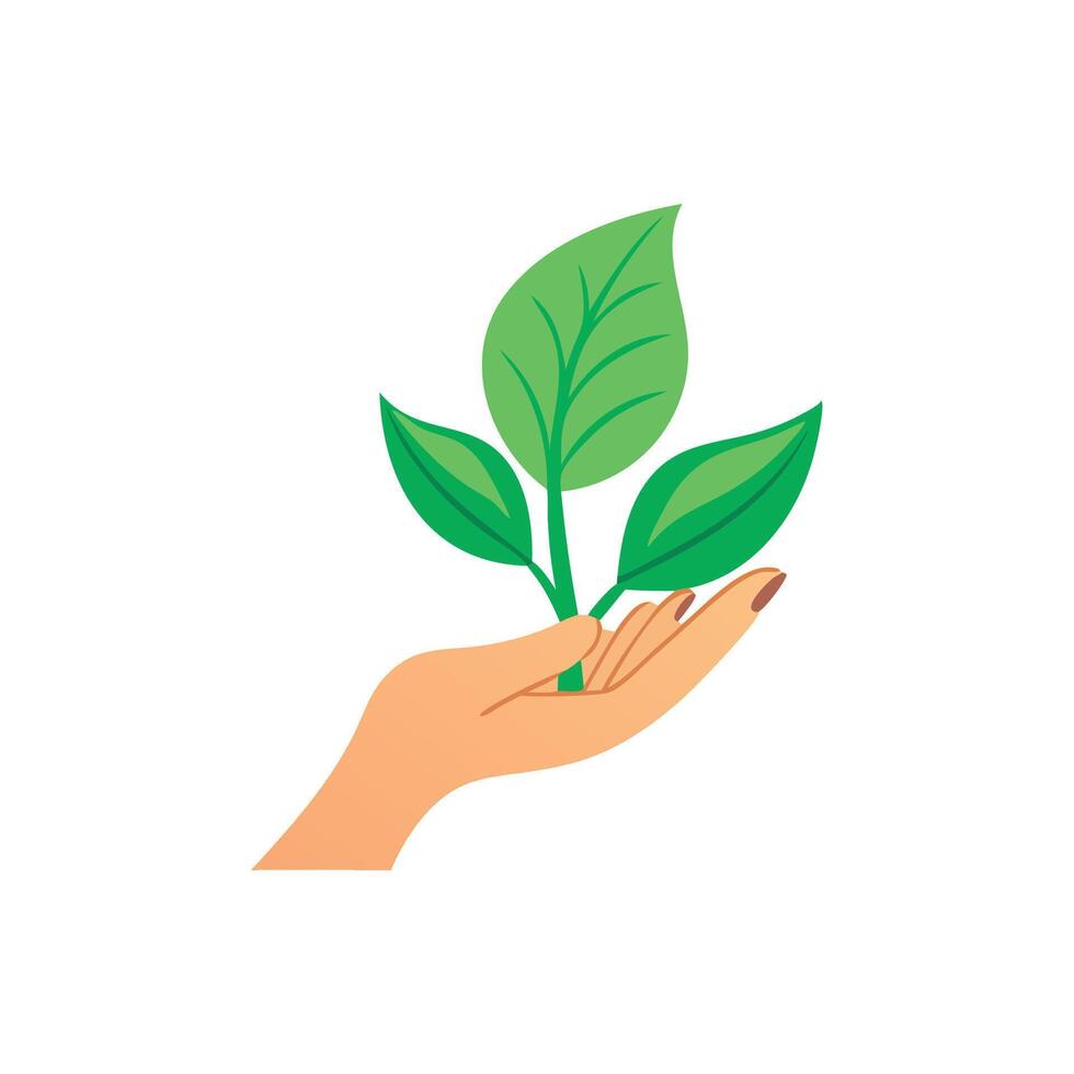 Woman hand holding a green leaves isolated flat illustration on white background. vector