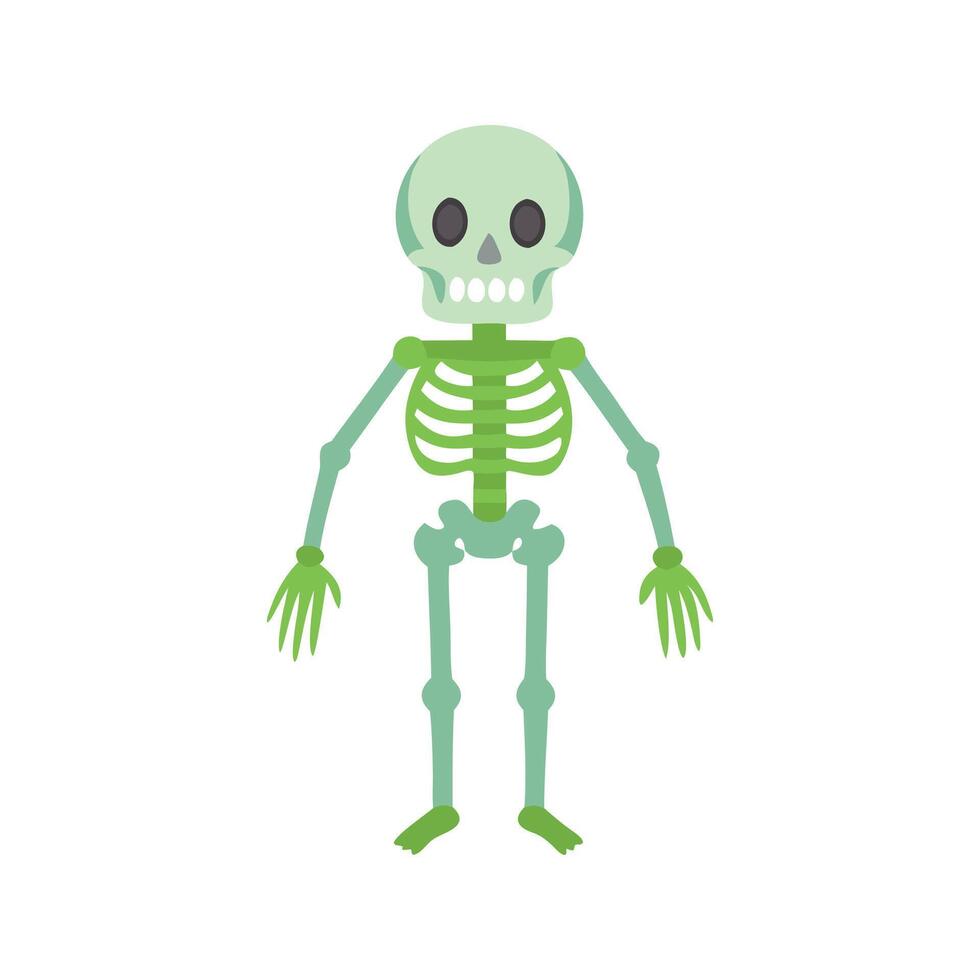 Skeleton isolated flat illustration on white background. vector