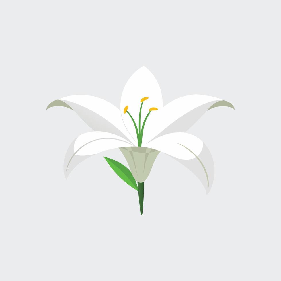 Single pure white lily head isolated flat illustration on white background. vector