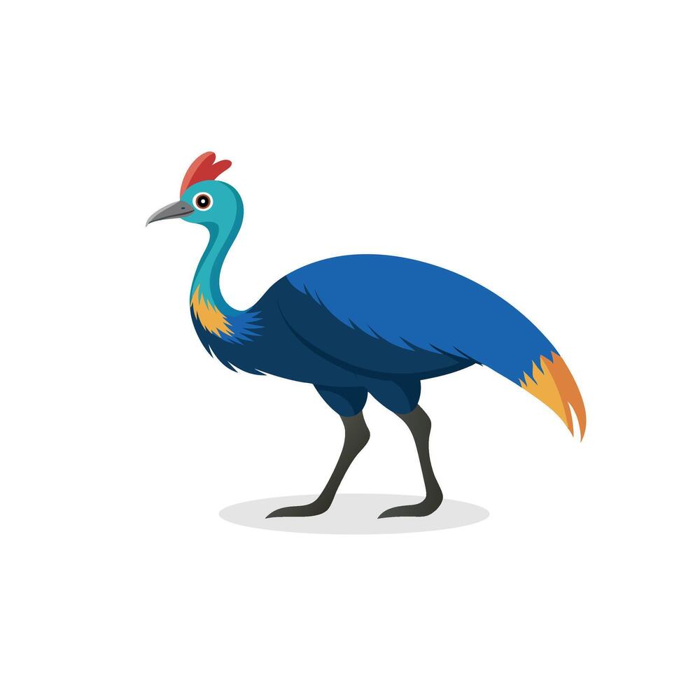 Cassowary animal isolated flat illustration on white background vector