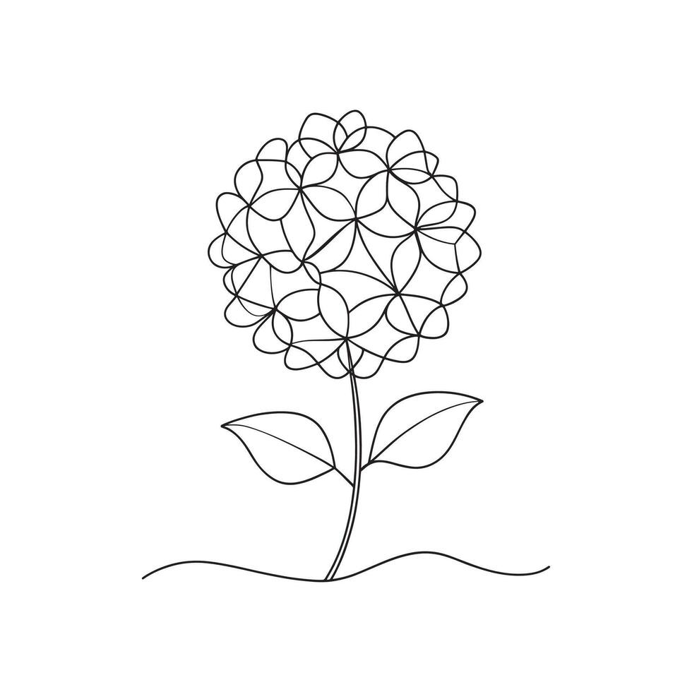 Hydrangea flower Continuous line art flat illustration vector
