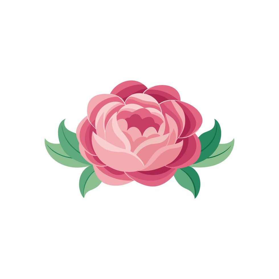 Peony flower isolated flat illustration on white background. vector