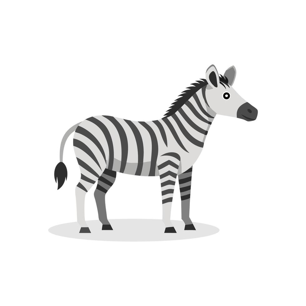 Zebra animal isolated flat illustration on white background vector