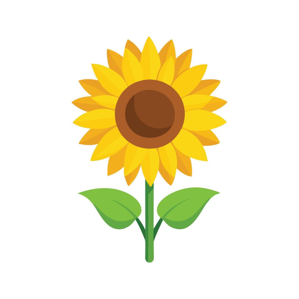 Sunflower isolated flat illustration on white background vector