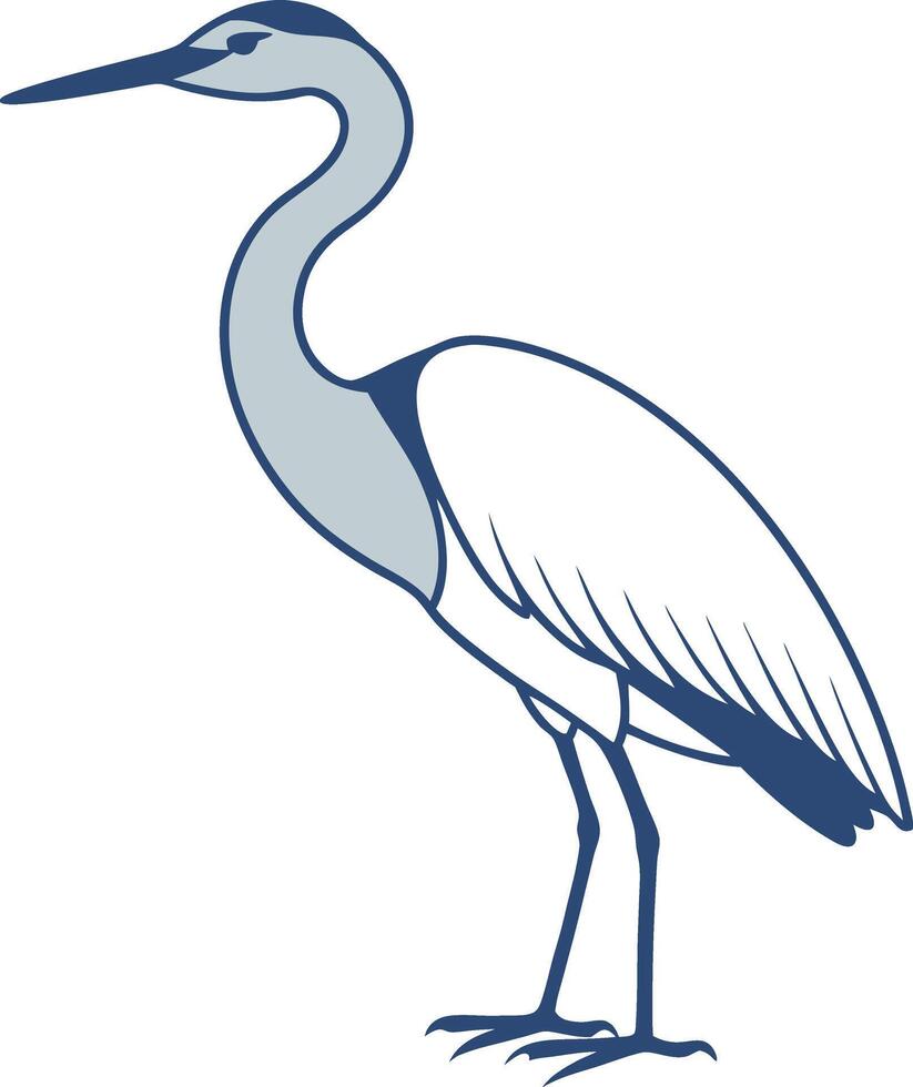 The Elegant Heron Fascinating Facts About This Stunning Bird, Great egret Bird illustration on white background vector