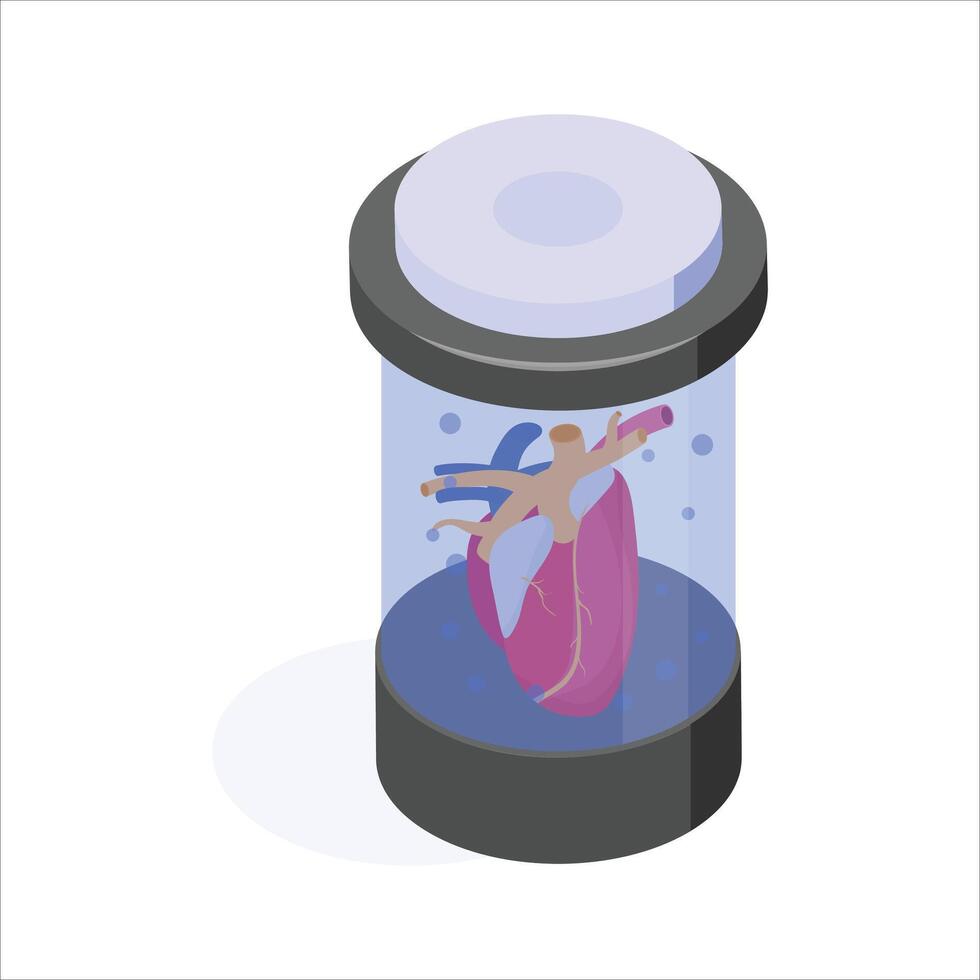 Chamber preserving a heart for research and transplantation studies vector