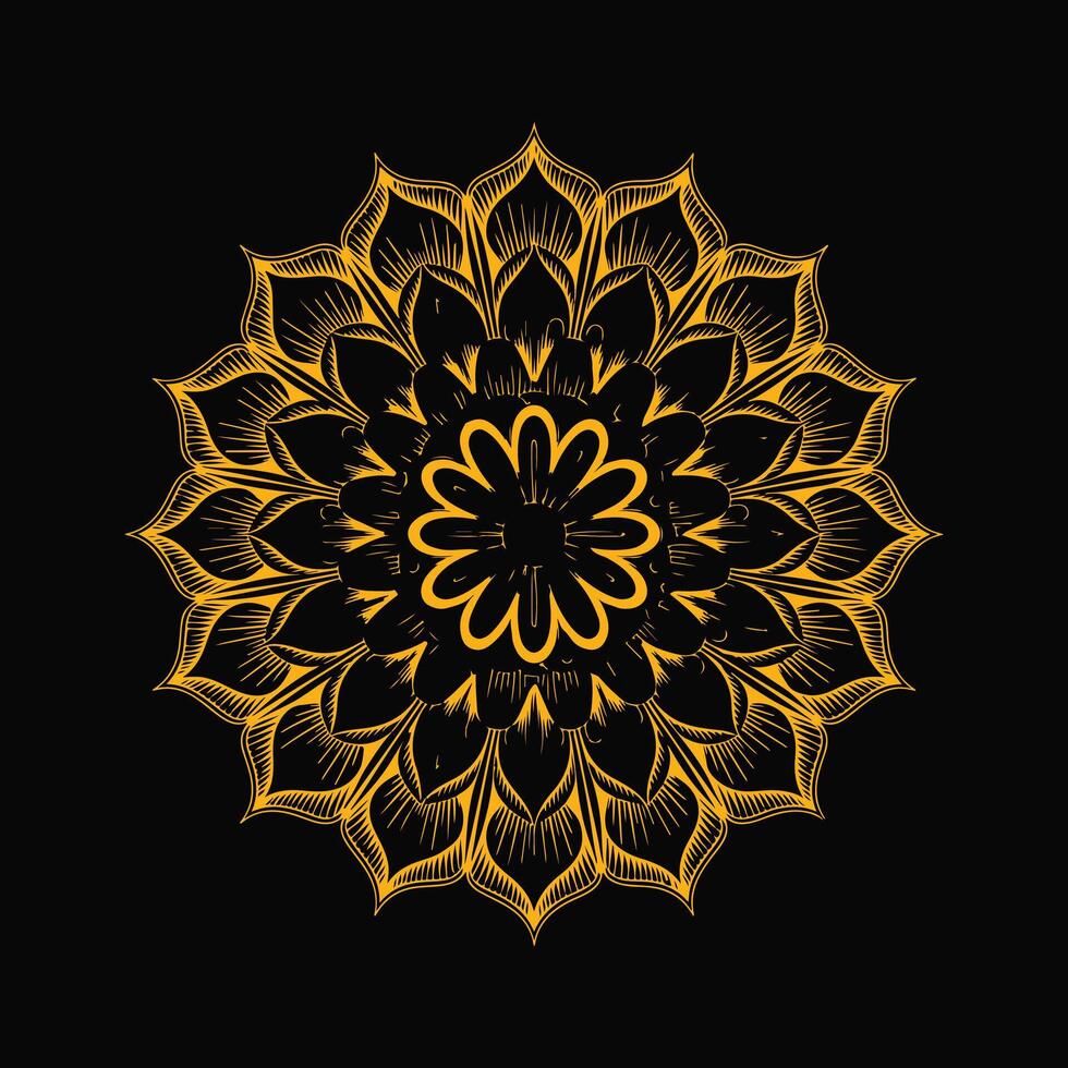 The Beauty of Circular Mandalas vector