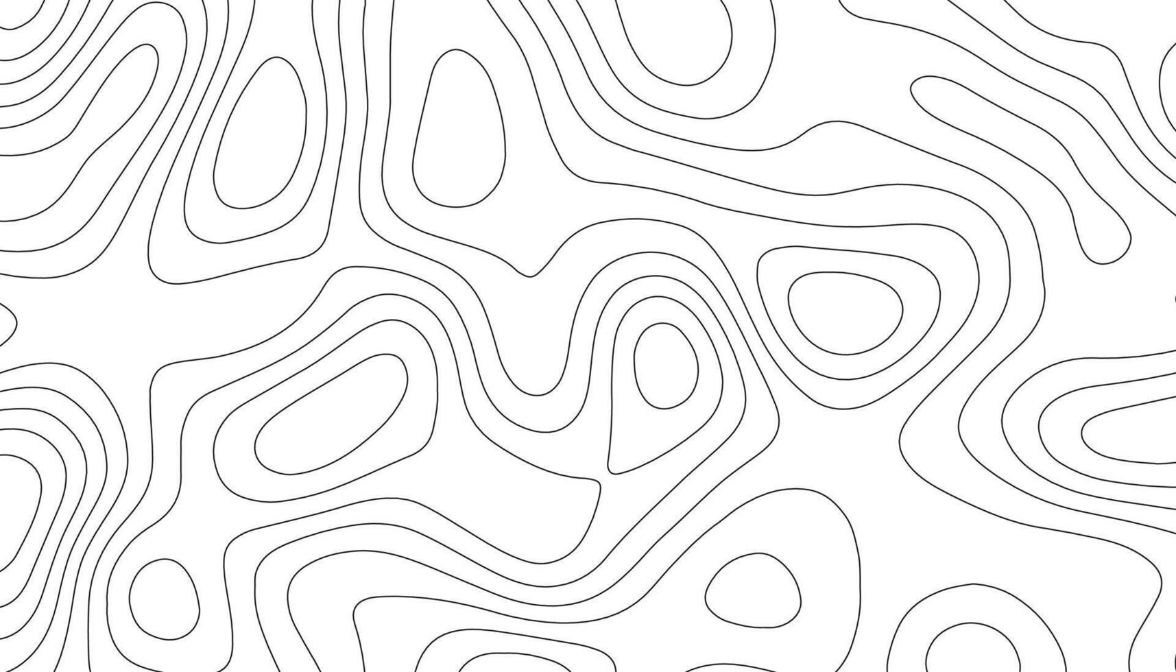 Topographic Line Contour Map Background, Geographic Grid Map vector