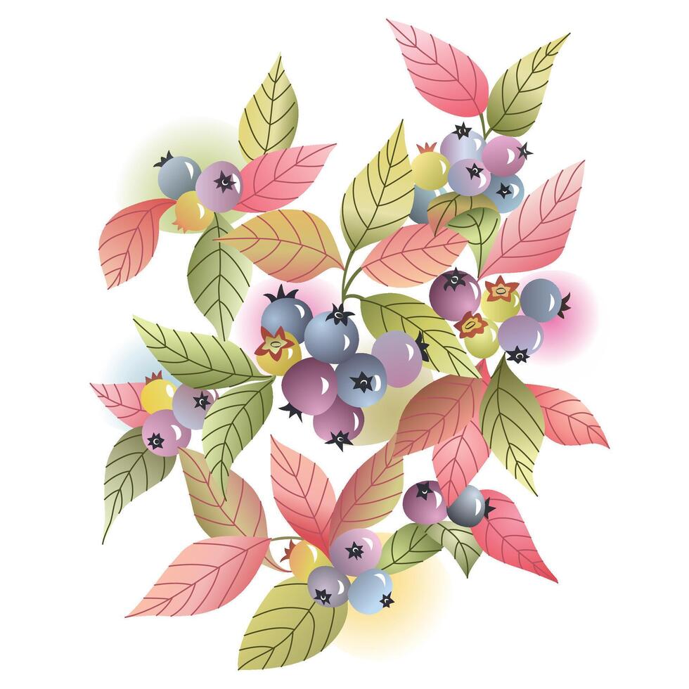 illustration of close up of a bunch bilberry fruits vector