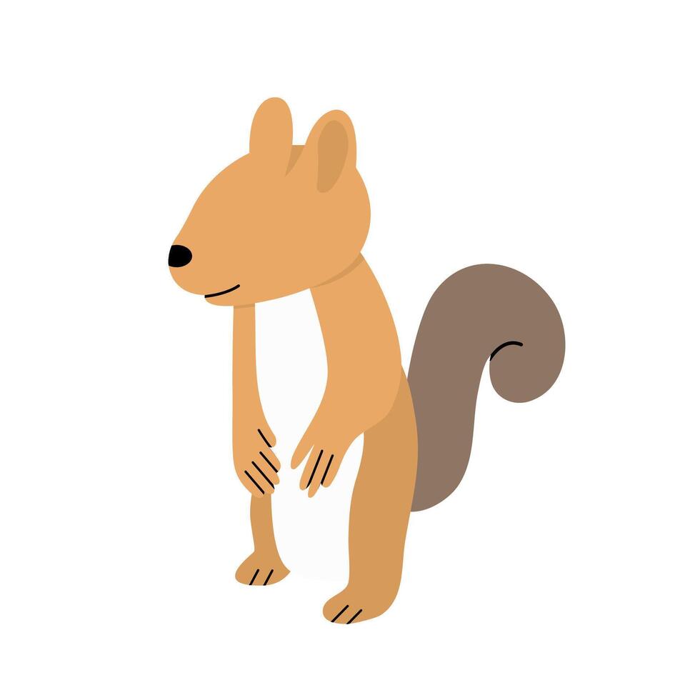 Faceless Illustration Of Squirrel Animal vector