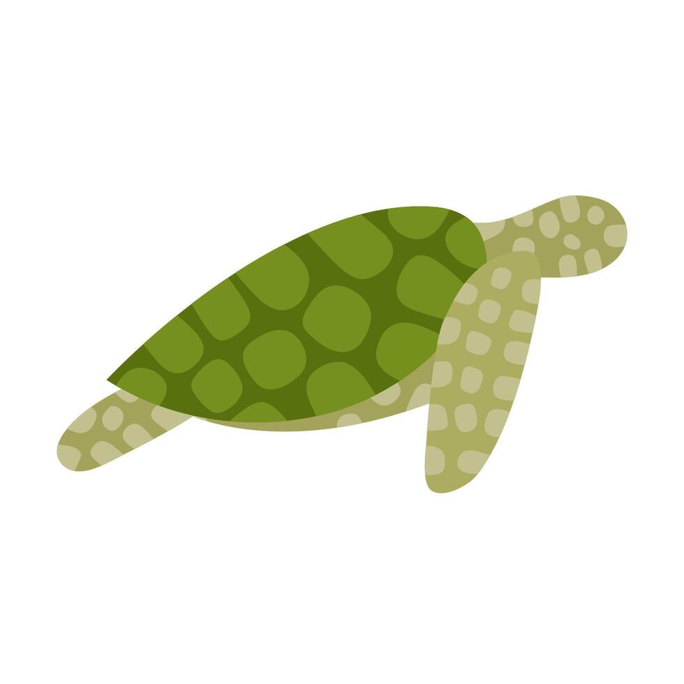 Faceless Illustration Of Turtle Animal vector