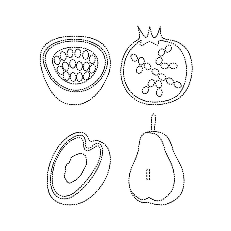 Collection Of Fruit Tracing Line vector
