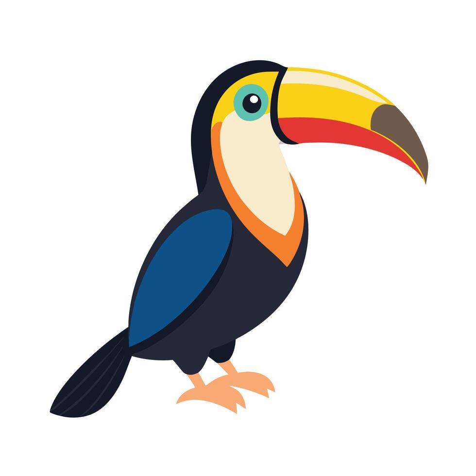toucan bird illustration vector